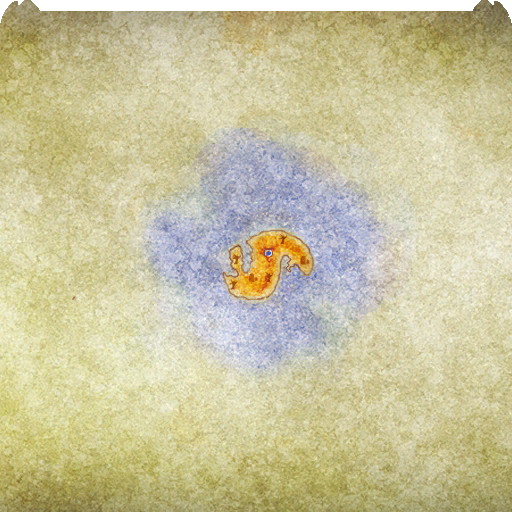 Map of Map of Hemlock Island